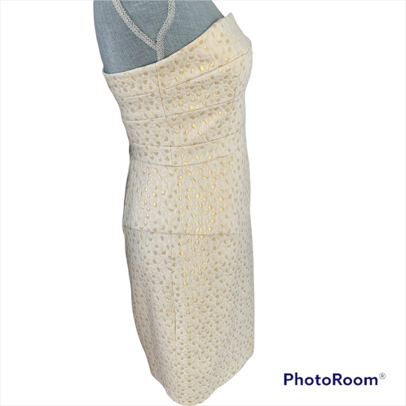 Cynthia Steffe Diandra Metallic Dress - Picture 4 of 8